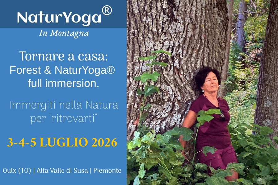 forest bathing Alpi Cozie Oulx