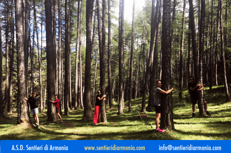 Vacanze yoga in montagna